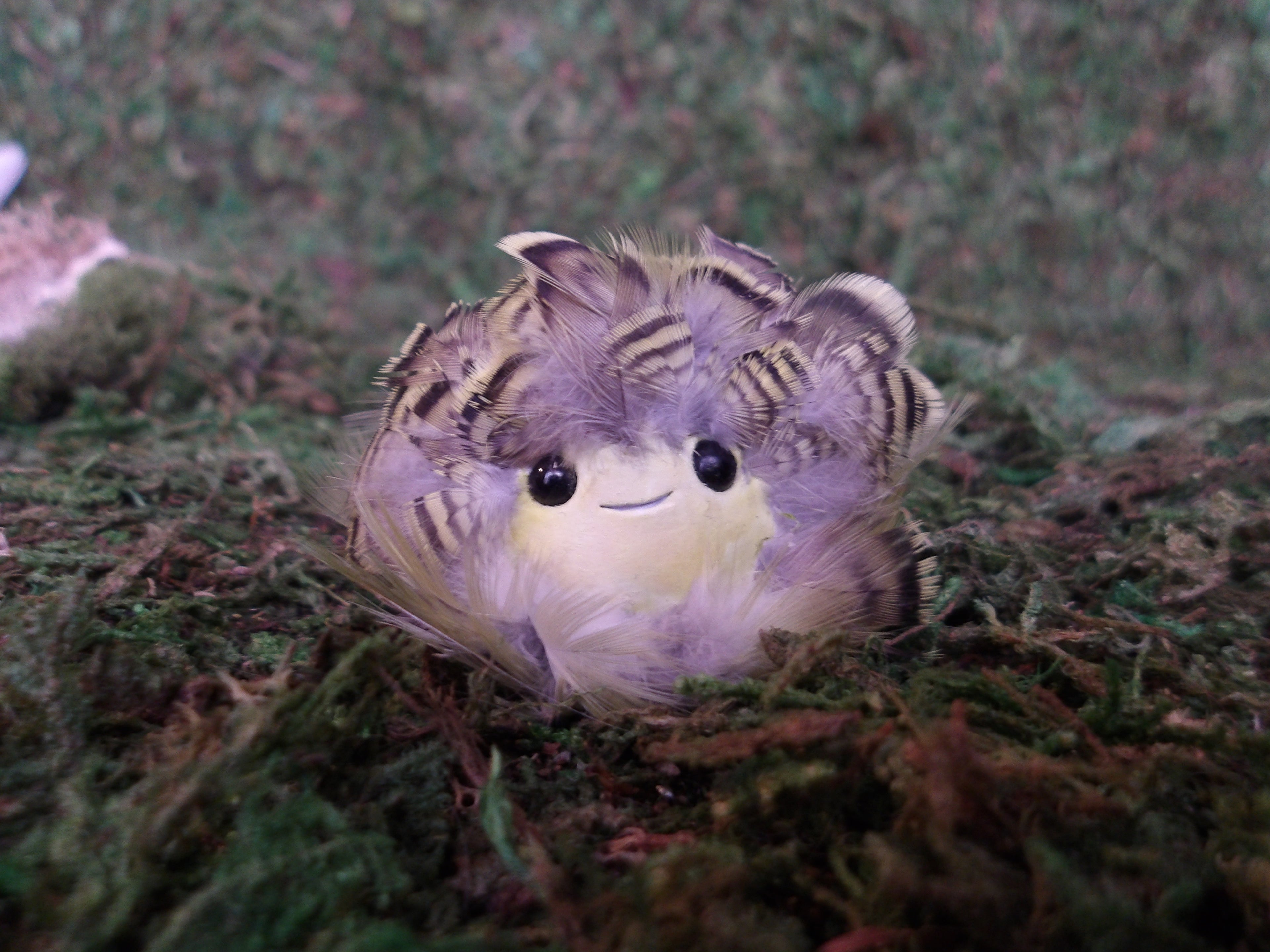 soturi