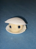 Cute clam