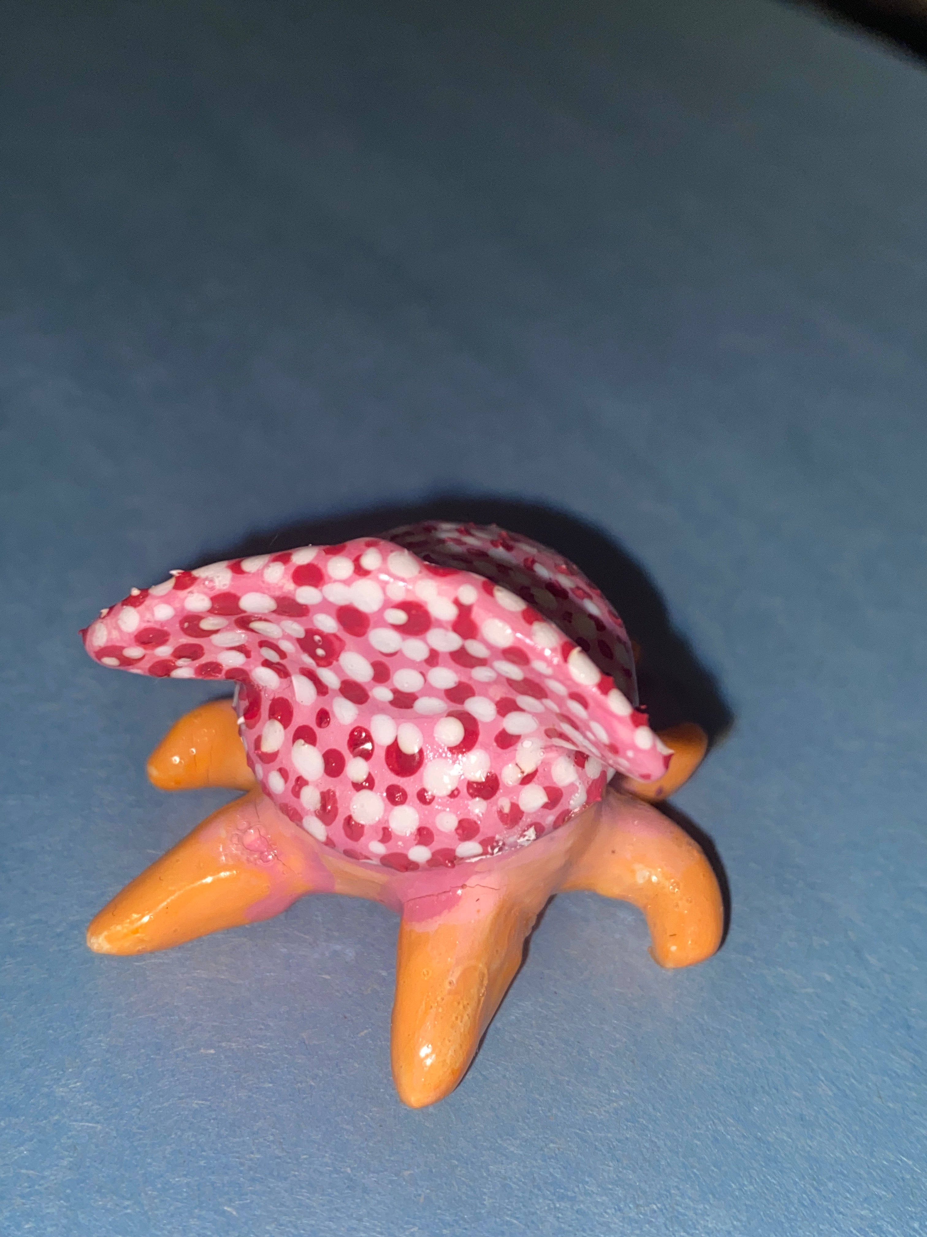 Squid