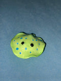 Blue spotted stingray