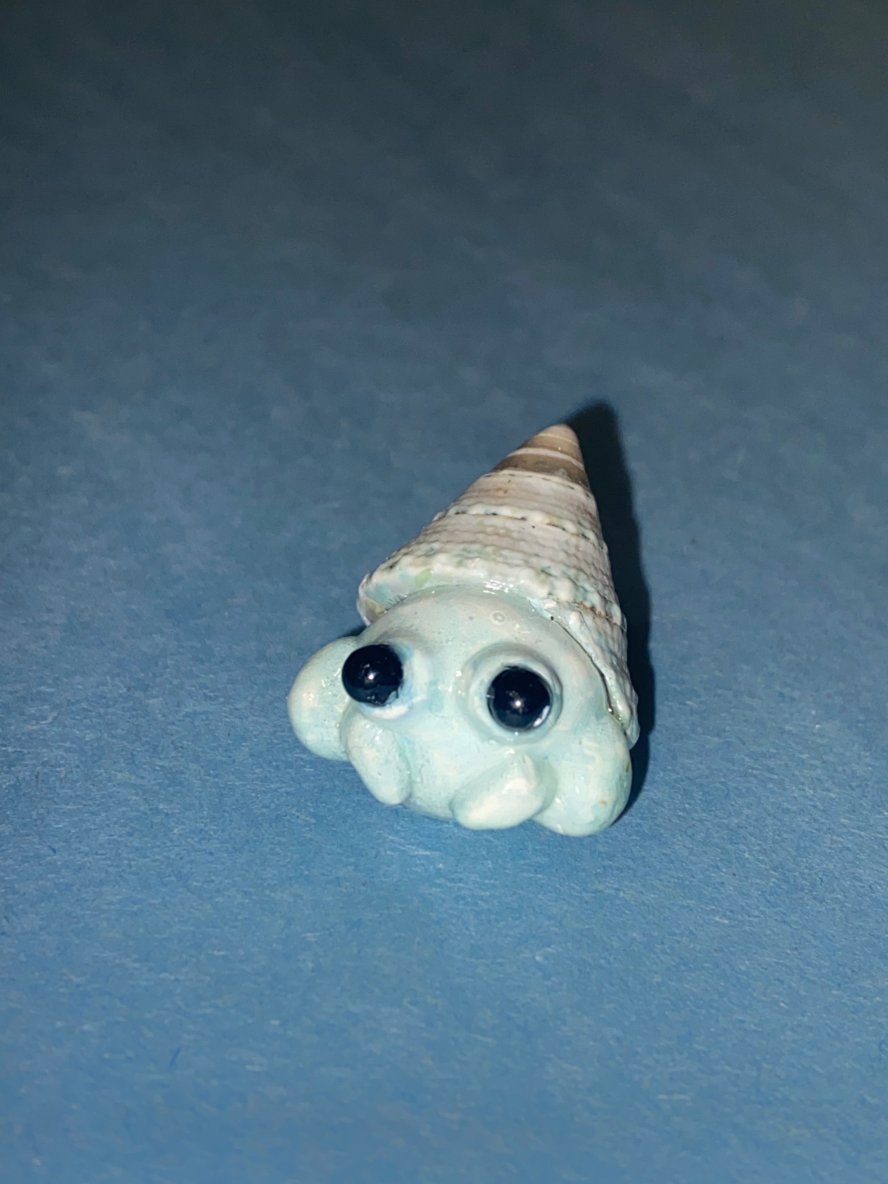 Hermit crab