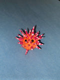 Sea urchin.