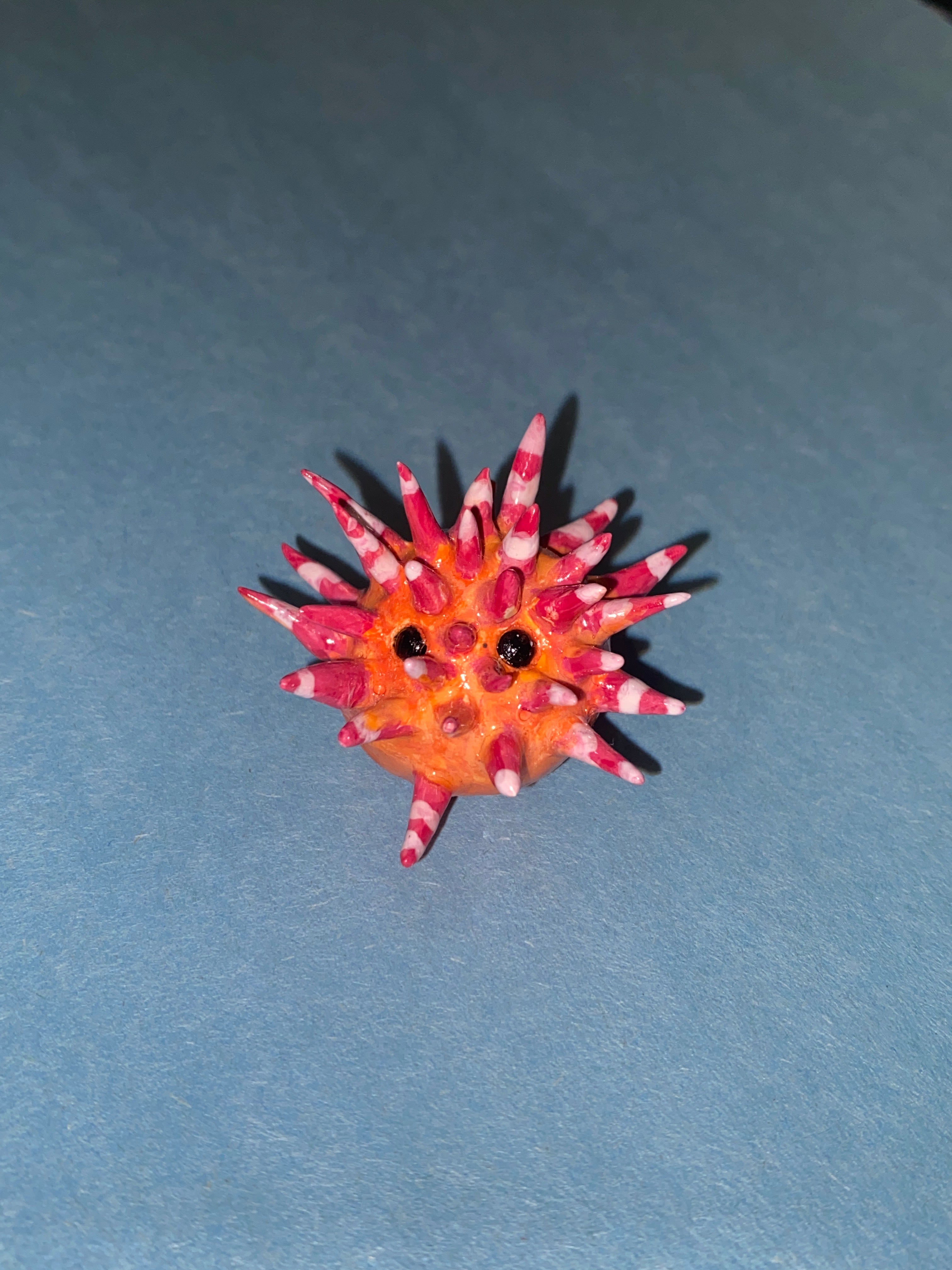 Sea urchin.