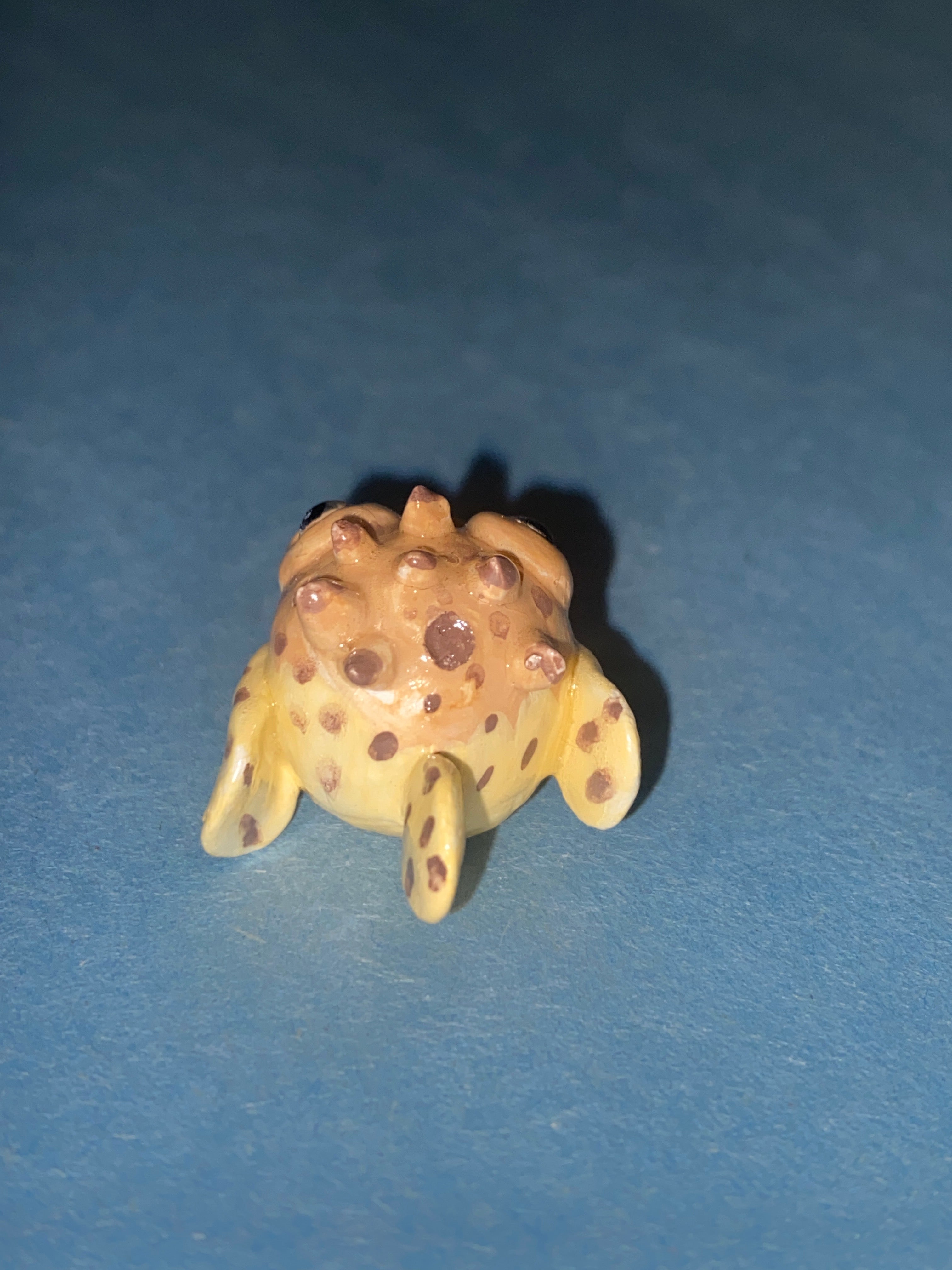 Porcupinefish