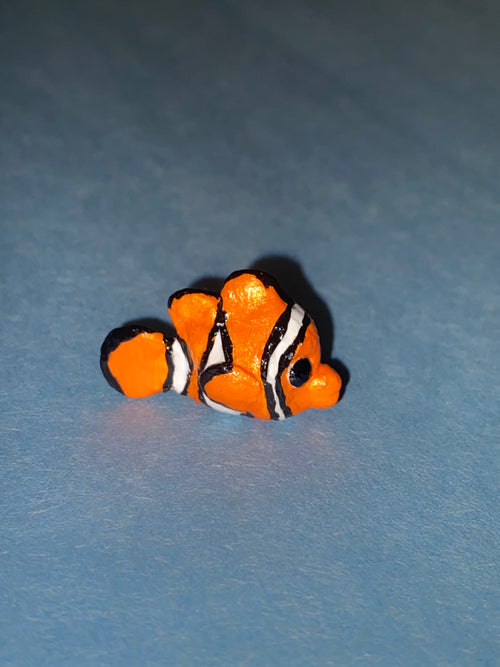 Clown fish