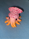 Squid