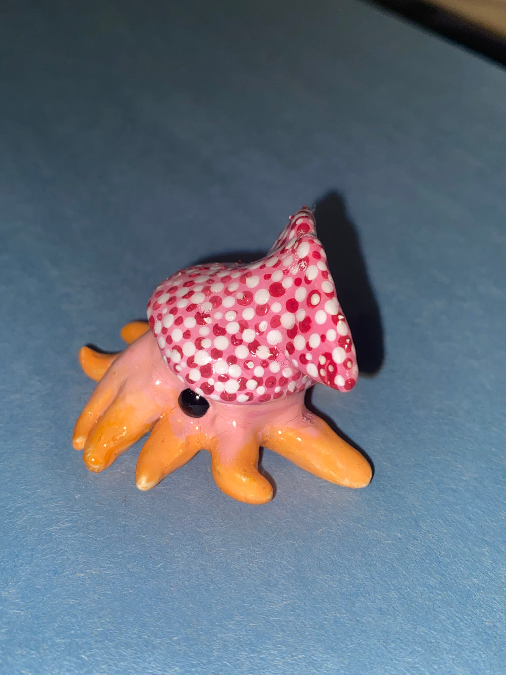 Squid
