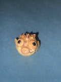 Porcupinefish