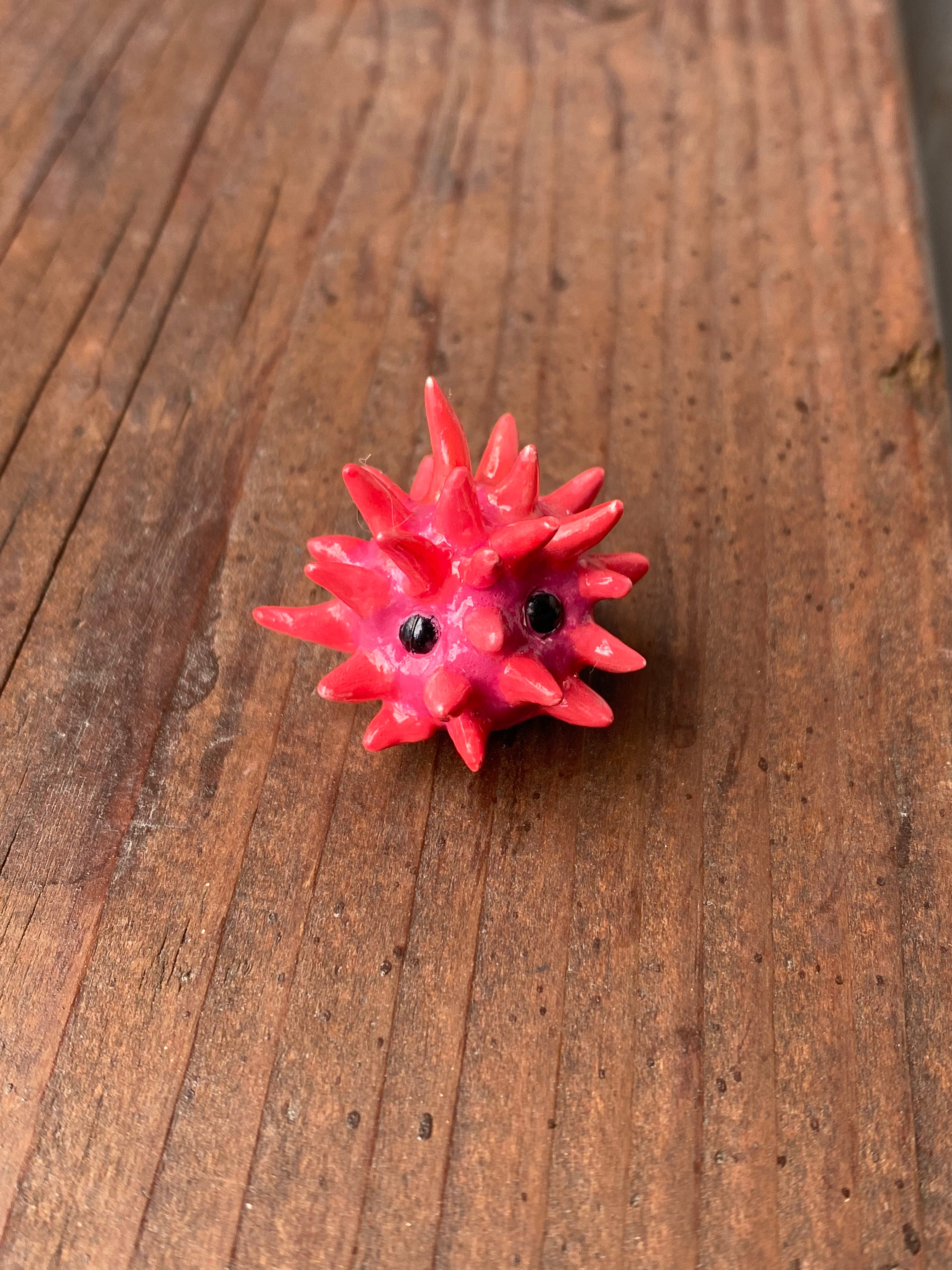 Sea urchin