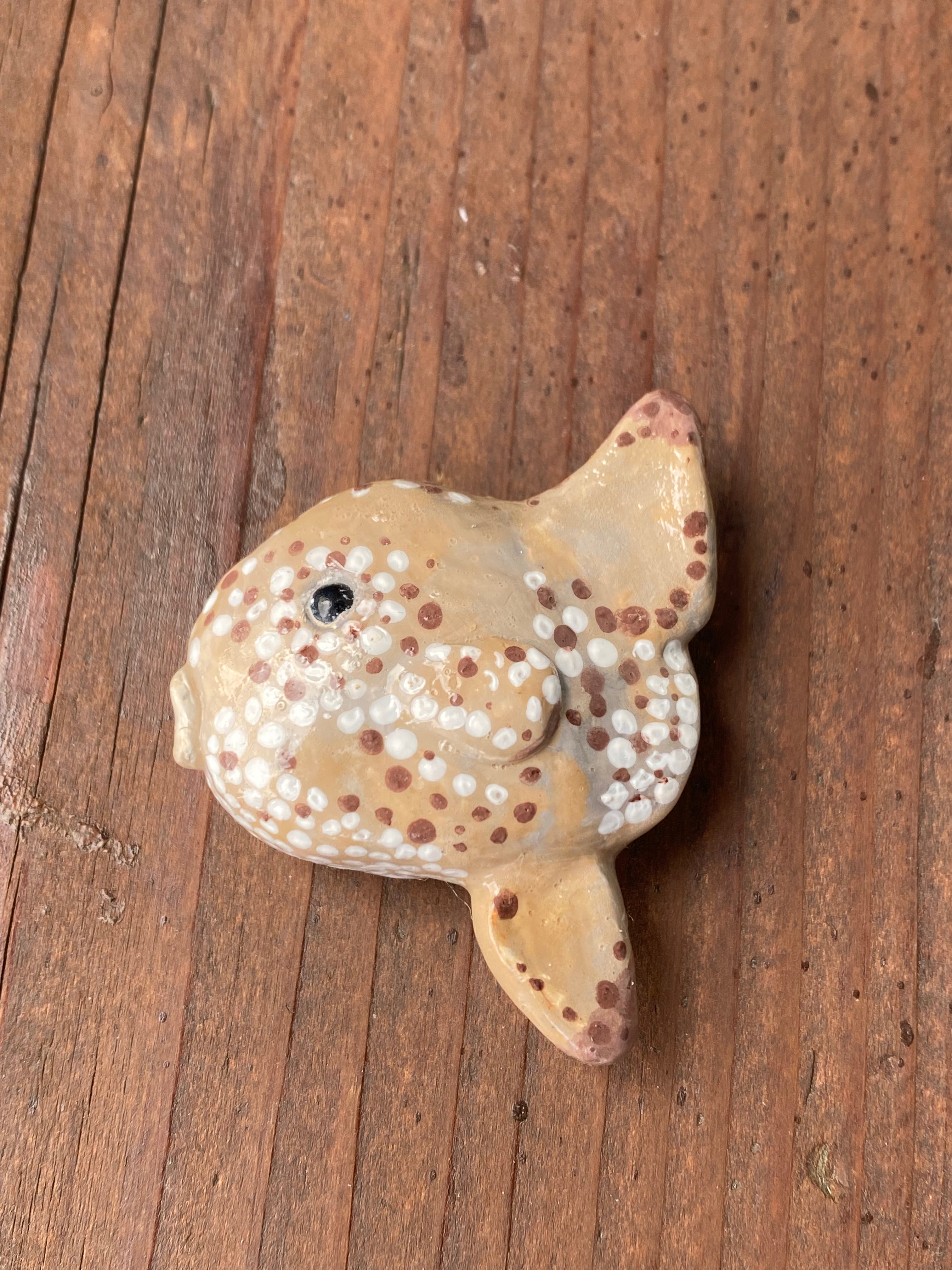 Sun fish