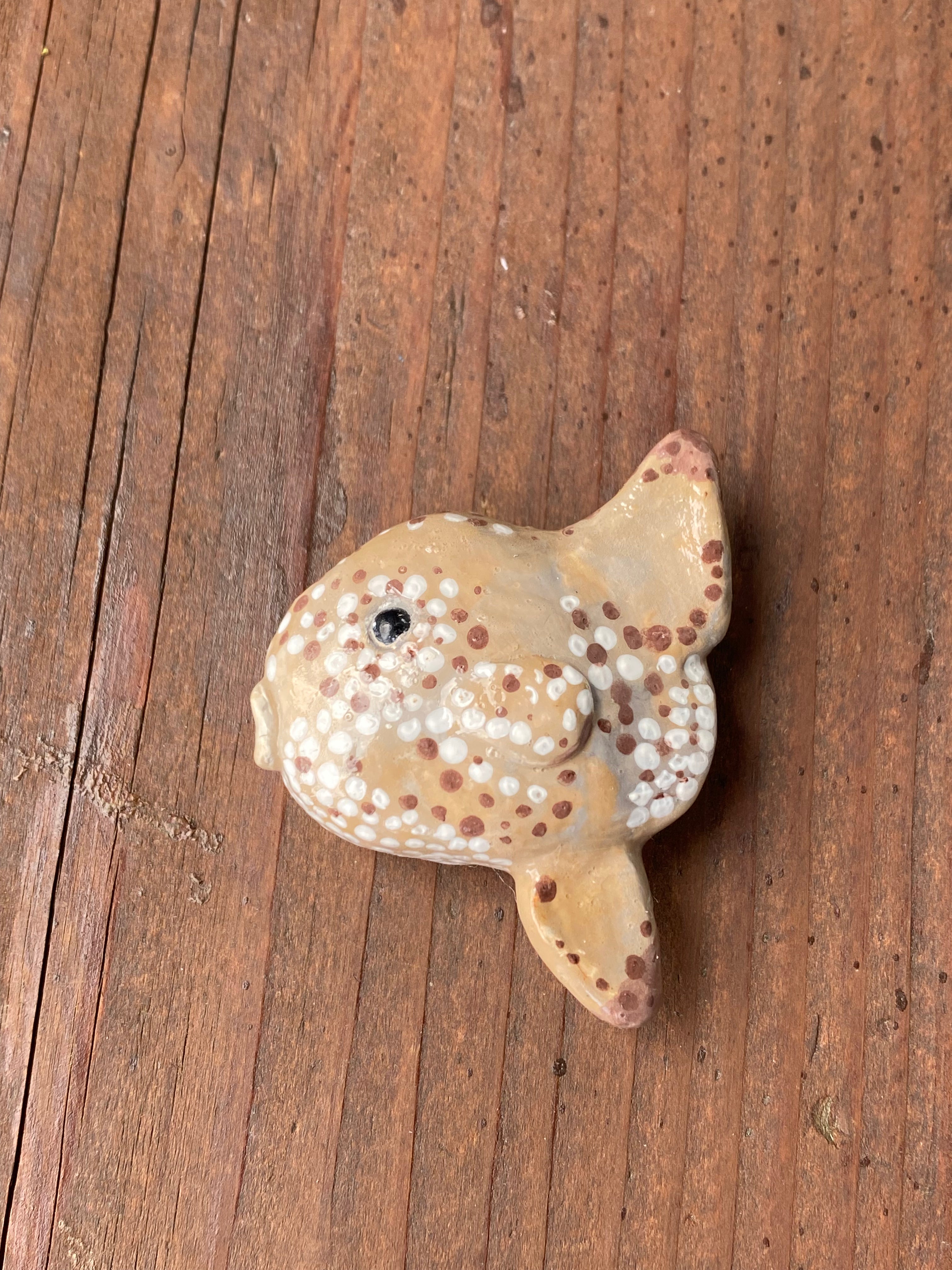 Sun fish