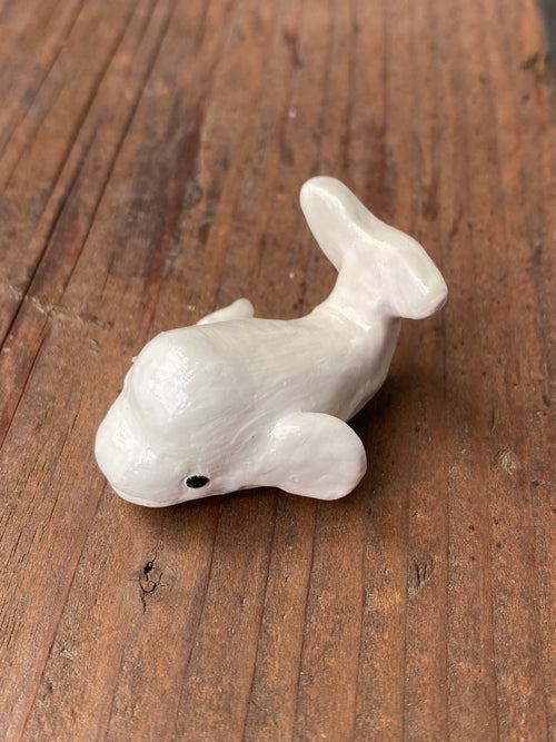 Beluga
