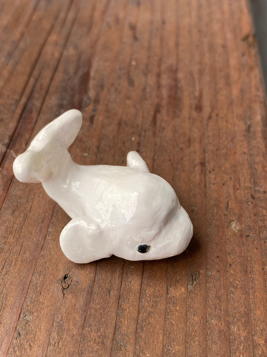 Beluga