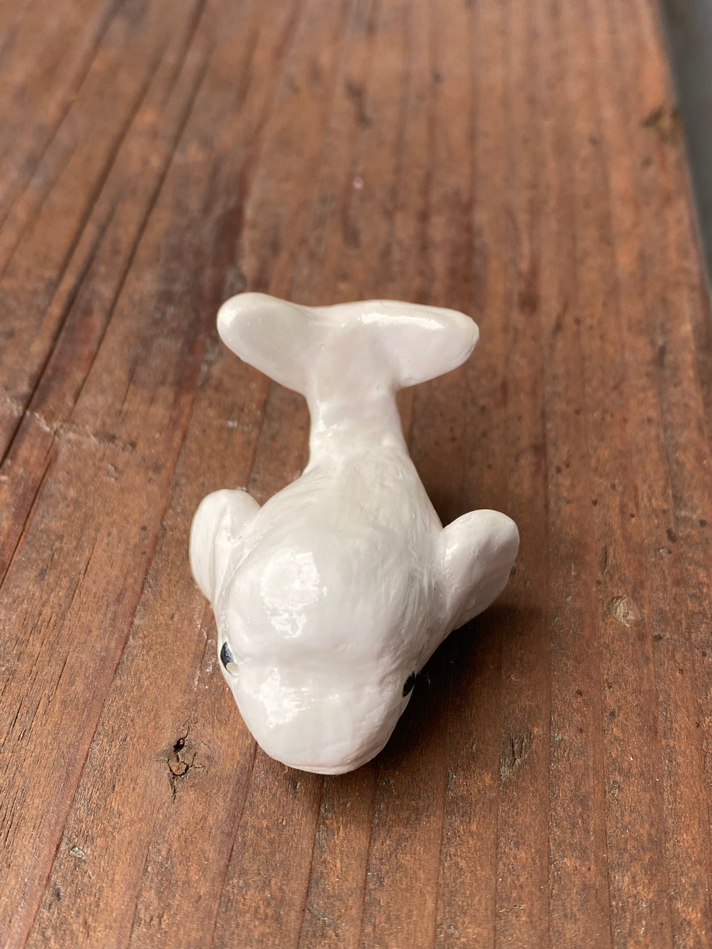 Beluga