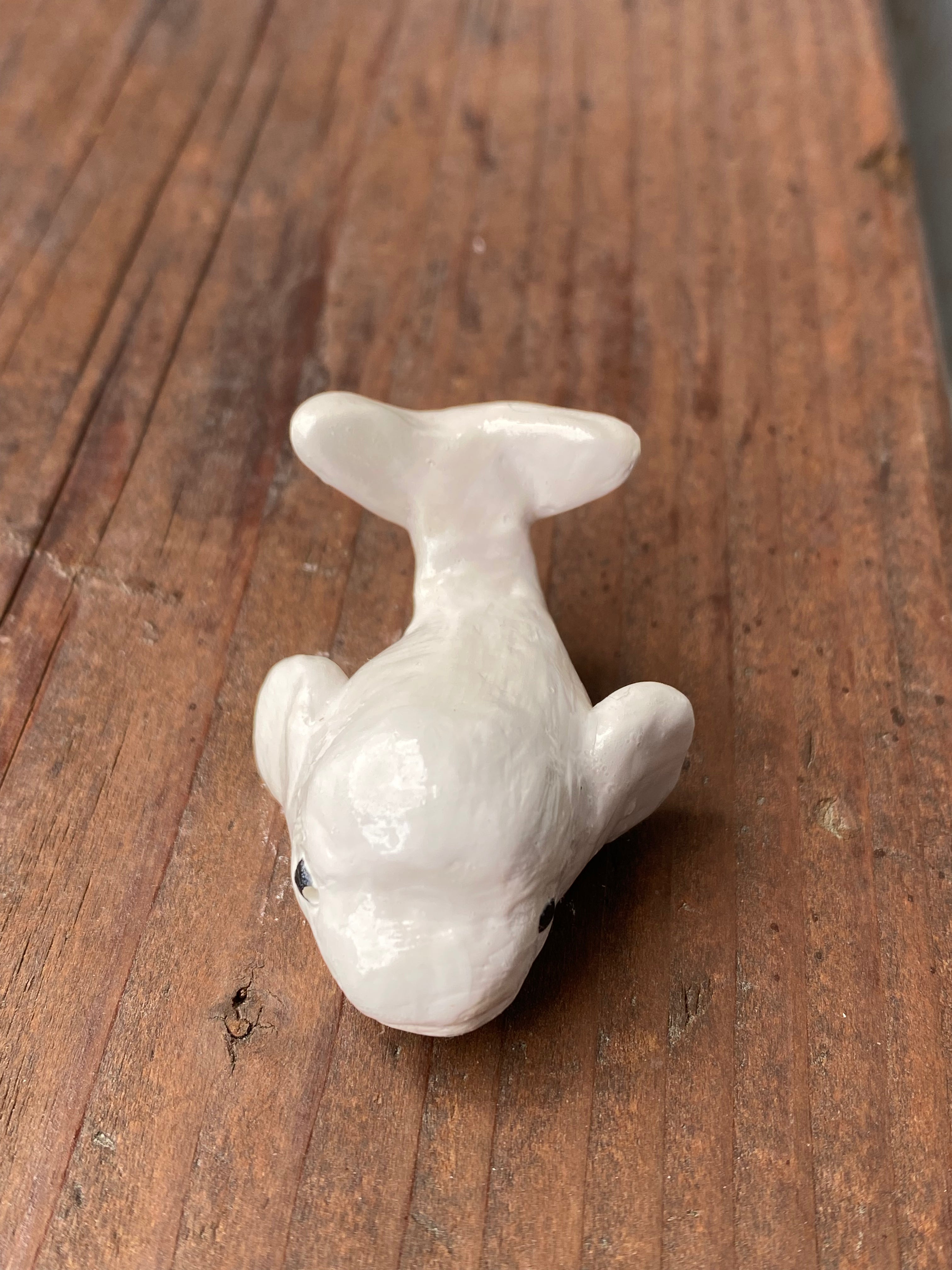 Beluga