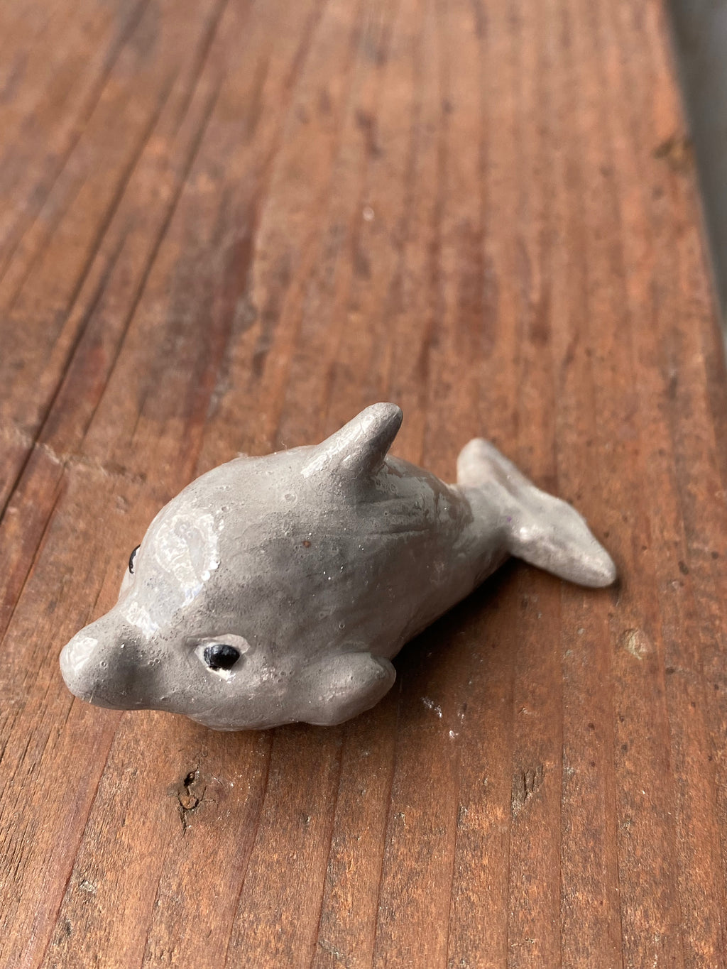 Dolphin