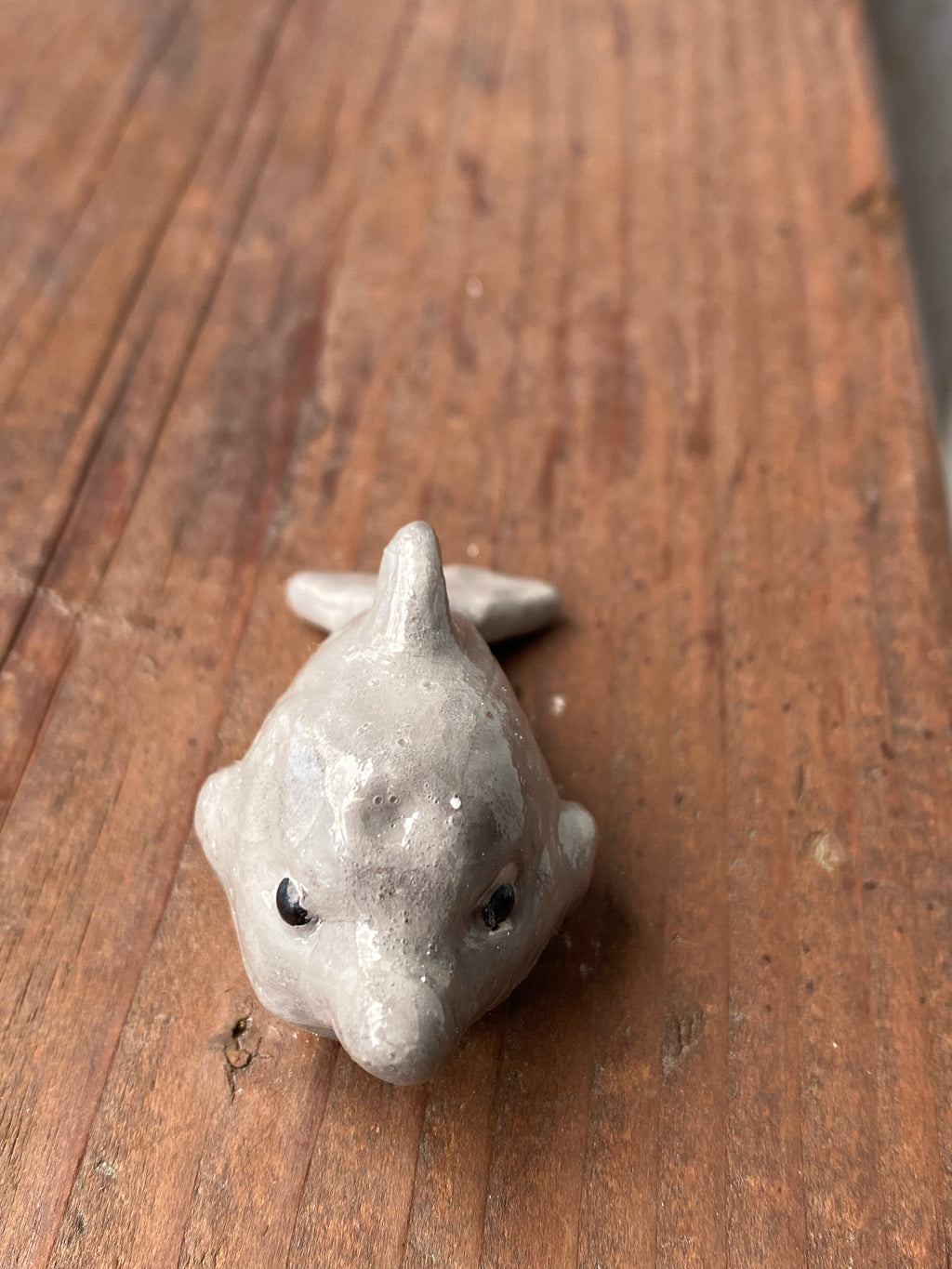 Dolphin