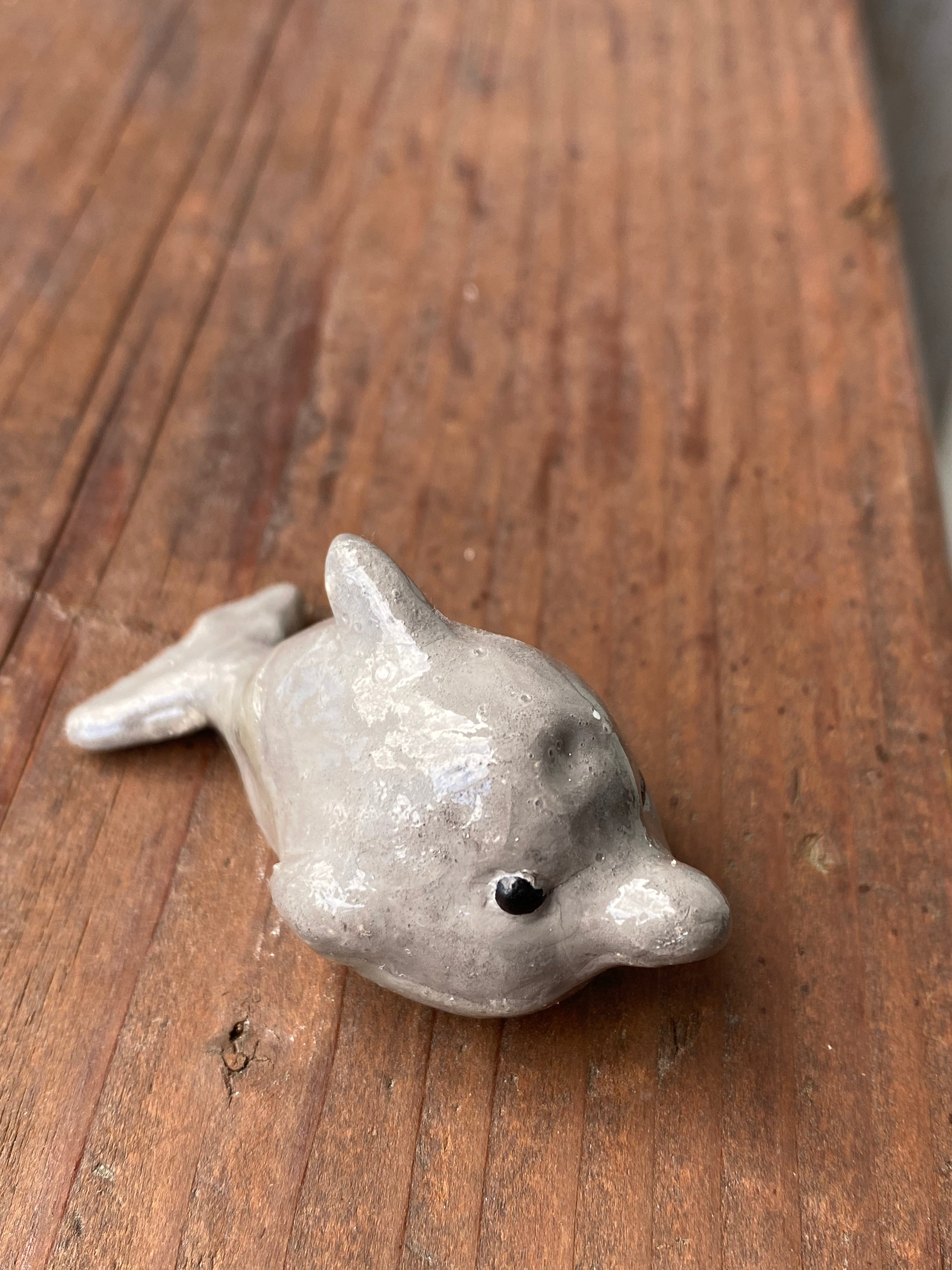 Dolphin