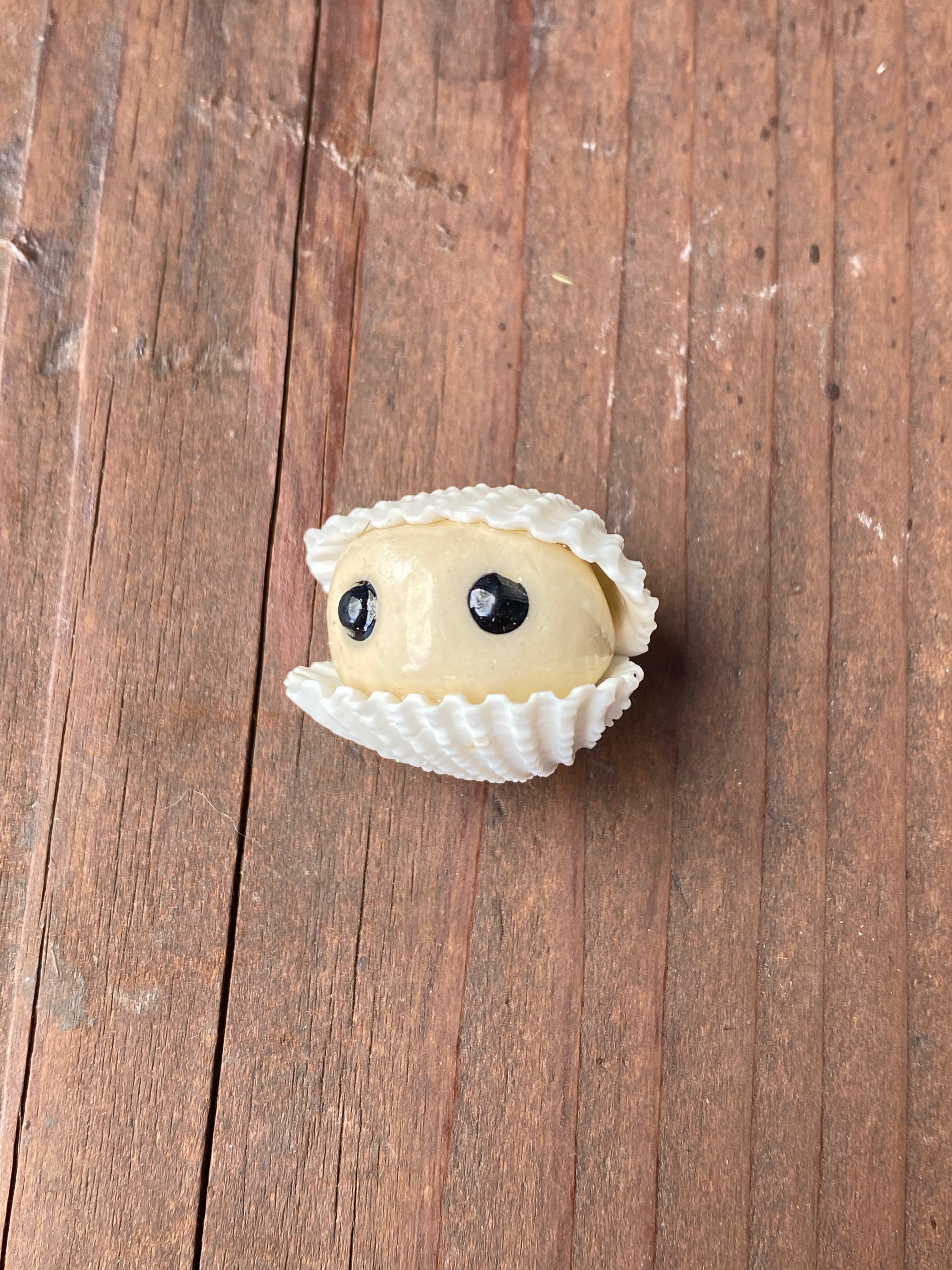 Clam