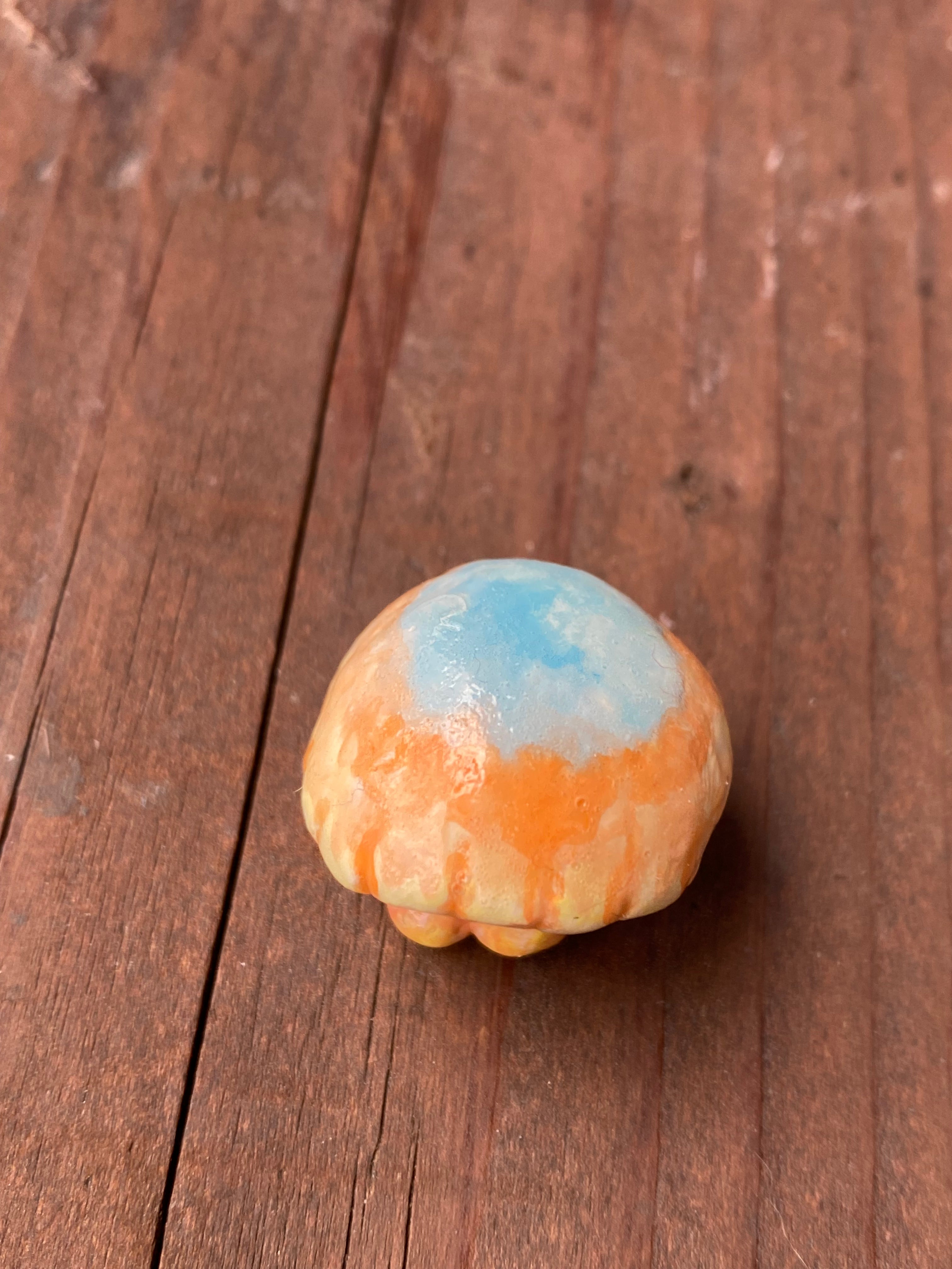Jellyfish